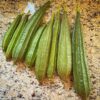 Himalayan Ridge Gourd - Image 3
