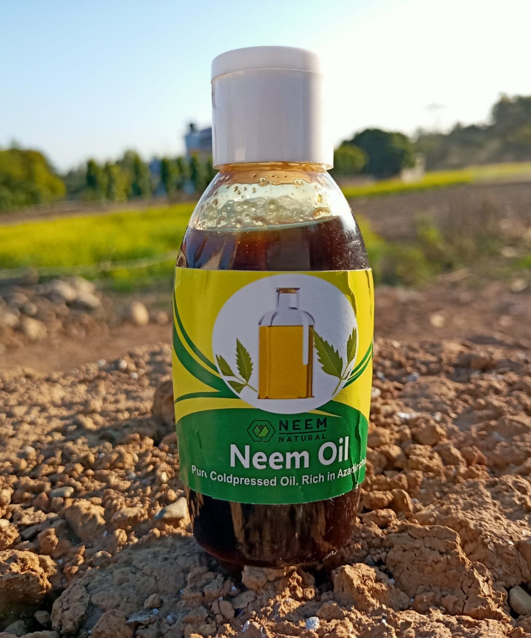 Natural Neem Oil Img1 Mtseedbank 