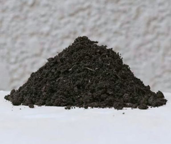 Buy Organic Vermicompost-mtseedbank