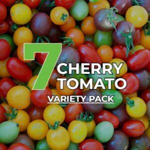 Cherry Tomato Rainbow - Combo Pack