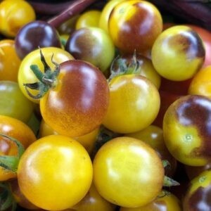 Blue Gold cherry tomatoes