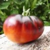 Indigo Apple tomato - Image 3