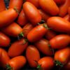 San Marzano Tomato Seeds - Image 2