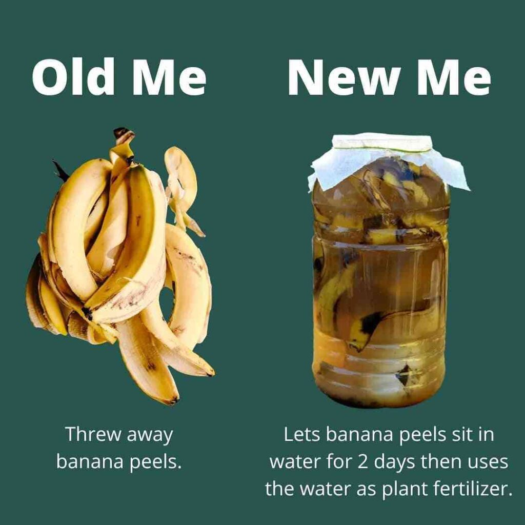 Fully biodegradable in less time than a banana peel.” Behind Wild's 100%  plastic-free refill