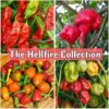 The Hellfire Collection