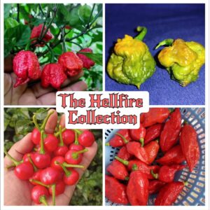 The Hellfire Collection