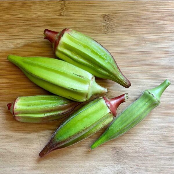 tender pods of hill country okra harvested