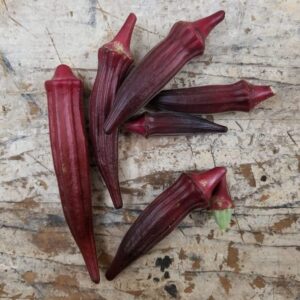 jing okra is a striking red or burgundy-colored okra variety