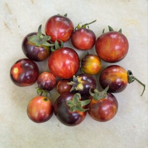 ripe black strawberry tomatoes