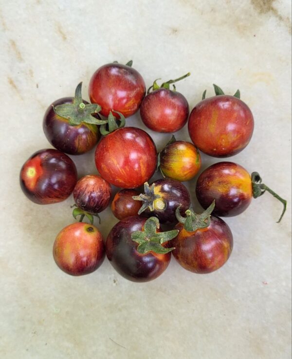ripe black strawberry tomatoes