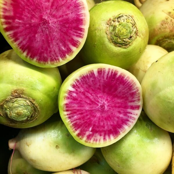 Watermelon Radish - Image 3