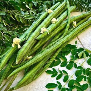 Moringa (Kodikkal Murunga)