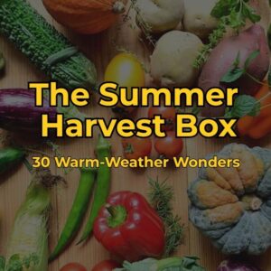The Summer Harvest Box: 30 Warm-Weather Wonders