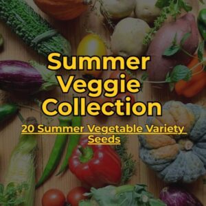 summer vegetable seeds pack