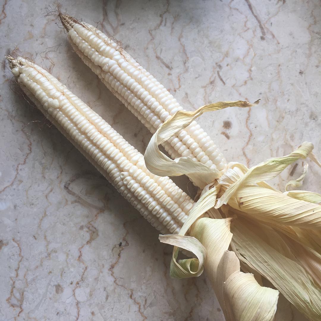 Hickory King White Corn