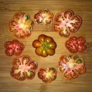 Reise Tomato / Traveler's Tomato