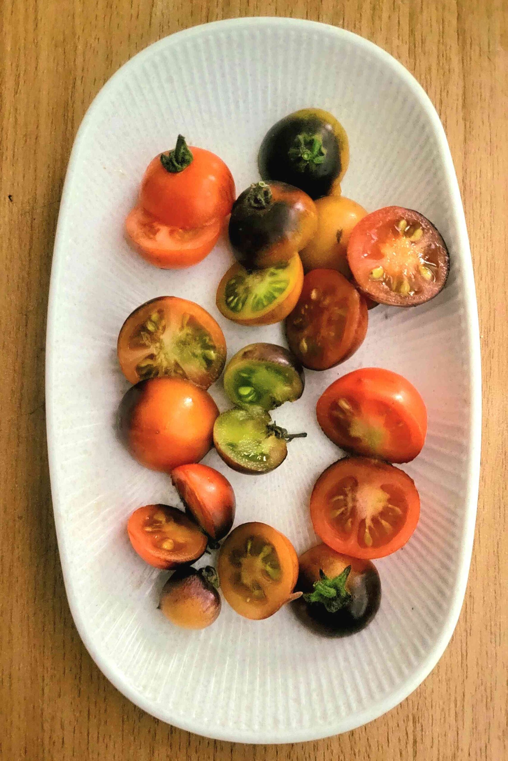 freshly harvested blue zimmer tomato on plate for salad