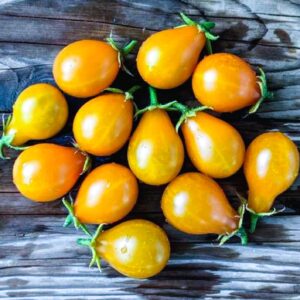 orange pear shaped cherry sized tomato closeup